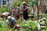 Rua! - Horta Comunitária Pompeia, de Tata Amaral_Foto Pedro Pipano_SMDHC